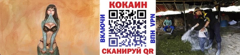 Cocaine Эквадор Бугуруслан