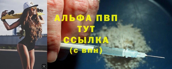 стафф Алексин