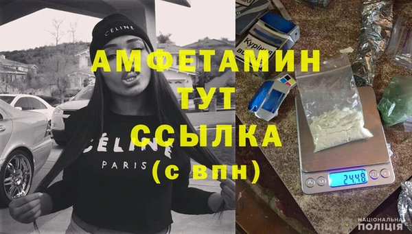 стафф Алексин