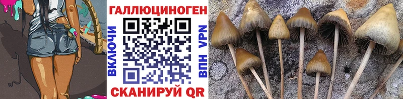 kraken tor Бугуруслан Галлюциногенные грибы MAGIC MUSHROOMS где купить наркотик